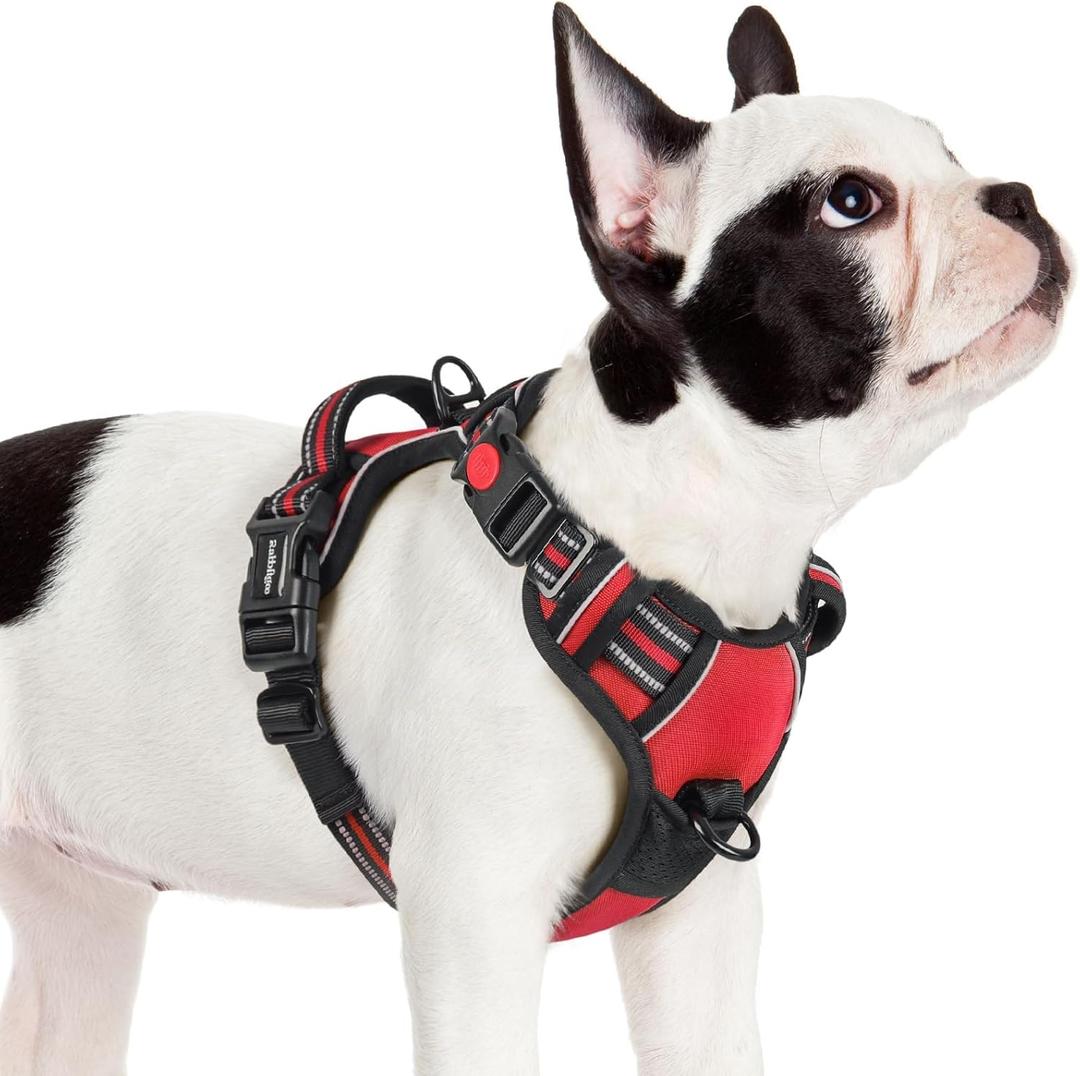 Rabbitgoo Dog Harness Small Sized, No Pull Pet Harness with 3 Buckles, Adjustable Soft Padded Vest with Control Handle, Walking Reflective Pet Vest for Small Dogs, Red, S