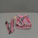 PUPTECK Adjustable Dog Harness Collar and Leash Set Step in No Pull Pet Harness for Small Medium Dogs Puppy and Cats Outdoor Walking Running, Soft Mesh Padded Reflective Vest Harnesses, Pink M (M (CHEST 16"-18"))