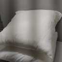 Hotel-Style Goose Feather Pillow Insert for Sofa & Bed - 100% Odorless & Plump Cushion Filler - 233TC Cotton with Inner Liner to Prevent Poking (22x22 Inch)