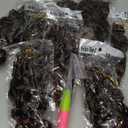 Prelooped GoGo Curl Crochet Hair 8 Inch 8 packs Short Curly Crochet Hair for Women Pre twisted Box Braids with Curly Ends Water Wave Beach Curls Synthetic Boho Hair Extensions Ombre Brown 1B/30