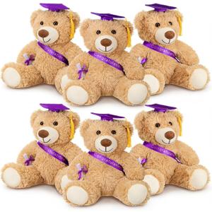 Aoriher 6 Pcs Class of 2026 Gifts Graduation Teddy Bears, 14 Inch Khaki Cute Soft Plush Stuffed Bears Animals with Cap, Diploma, Congratulations Sash, End of Year Gift for Kids Girl Boy Adult(Purple)