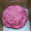 27 Preserved Roses in Round Dome Shape, Mother's Day Real Forever Flowers Rose Box, Eternal Rose Gift for Her Women Girl Friend Wife, Flower Gift for Valentines Day(Pink)
