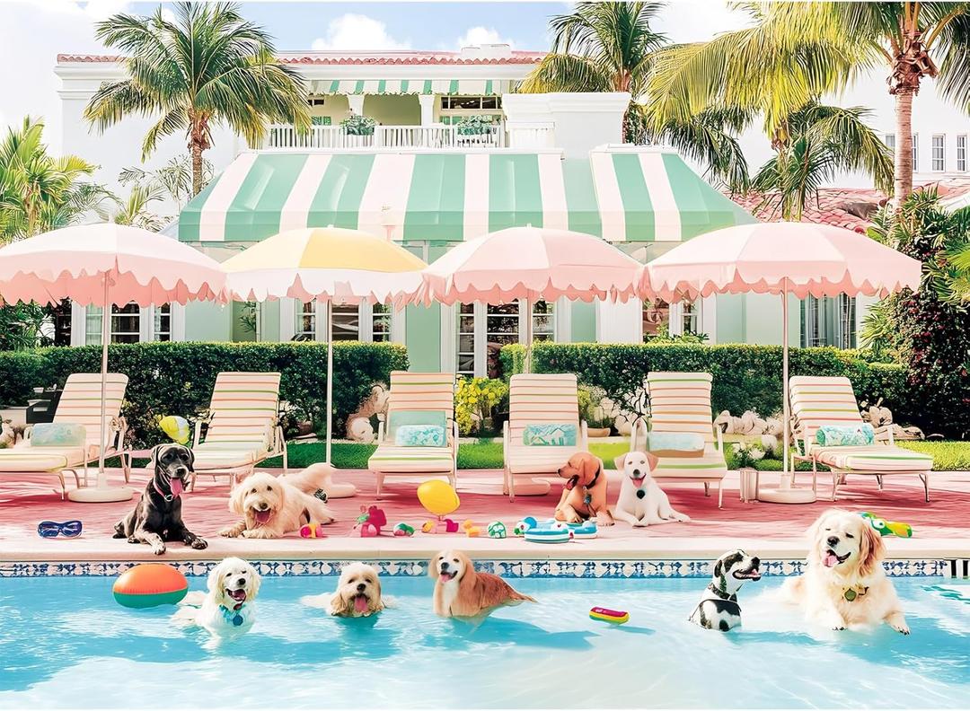 Jigsaw Puzzles 500 Pieces for Adults Puppy Swimming Pool Challenging Jigsaw Puzzle Animal Puzzles Difficult Puzzle Great Gift for Boys and Girls Family Fun Jigsaw Puzzle Game Toy 20.5x15inch