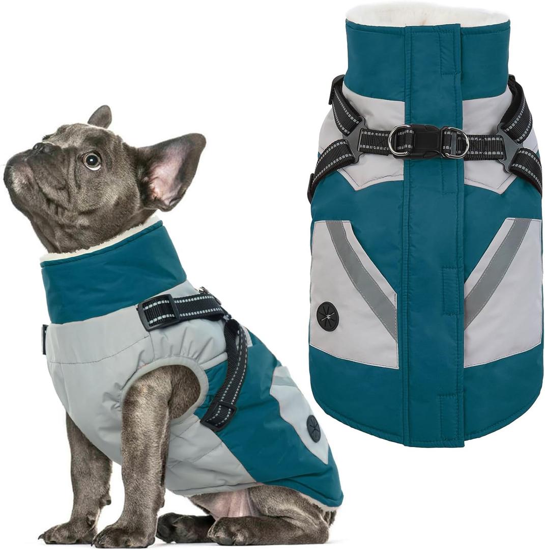 IECOii Dog Winter Coat Waterproof - Dog Coat with Harness Built in for Medium Dogs,Thermal Warm Fleece Lined with Zip Up Cold Weather Jacket,Reflective Snowsuit for Outdoor, Turquoise Green,M (Medium(Chest:20.9 in))