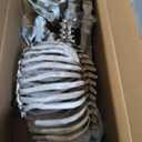 DR.DUDU Halloween Skeleton Goat Decorations, 26 Inch Long Animal Skeletons