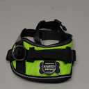 Joyride Basic Essential Dog Harness 1.0 - Small, Medium, Large Dogs, No-Pull Pet Vest with 3 Side Rings for Leash Placement, Adjustable for Training (Green Glow, XS)