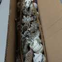 National Tree Company Artificial Autumn Garland, White, Made with Pumpkins, Gourds, Maple Leaves, Pinecones, Berry Clusters, Autumn Collection, 6 ft