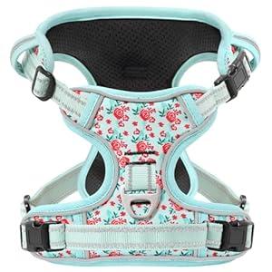 Timos Dog Harness, No-Pull Pet Harness with 2 Leash Clips, Adjustable Soft Padded Dog Vest, Reflective Outdoor Pet Oxford Vest with Easy Control Handle, Cyan, XS