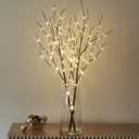 LITBLOOM Lighted Brown Willow Branches 32IN 100 LED with Timer Battery Operated, Tree Branch with Warm White Lights for Holiday Christmas Decoration Indoor Outdoor Use