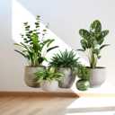iMagitek Large Green Plant Wall Decals Tropical Leaves 3D Potted Plant Wall Stickers for Living Room Bedroom Home Wall Decor 43.7x34.65inch