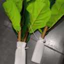 Artificial Fiddle Leaf Fig Tree in Modern White Planter, 5ft Large Fake Tree with 3 Sturdy Trunks, Fake Plants Faux Fig Tree with Moss, Lifelike Tall Artificial Plants Indoor for Office Home Decor