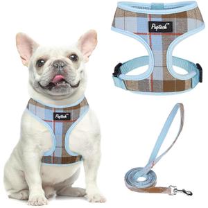 PUPTECK Soft Mesh Dog Harness and Leash Set Pet Puppy Cat Comfort Padded Vest No Pull Harnesses, Blue&Brown, M (M (NECK: 14", CHEST: 17"-21"))