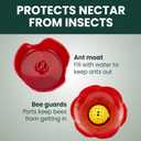 Perky-Pet Glass Hummingbird Feeders for Outdoors with Ant Moat, Bee Guards, & Perches, 8oz Nectar Capacity, Wide-Mouth Bottle for Easy Filling & Cleaning, Outdoor Garden Dcor, 203CPBN-2 (Pack of 2)
