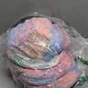 Lesure Cat Tunnel Bed for Indoor Cats - Cute Cat Donut Tunnel Toys with Washable Circle Cushion, Round Pet Peekaboo Cave Toy for Kitten/Puppy/Rabbit, Standard Ice Blue