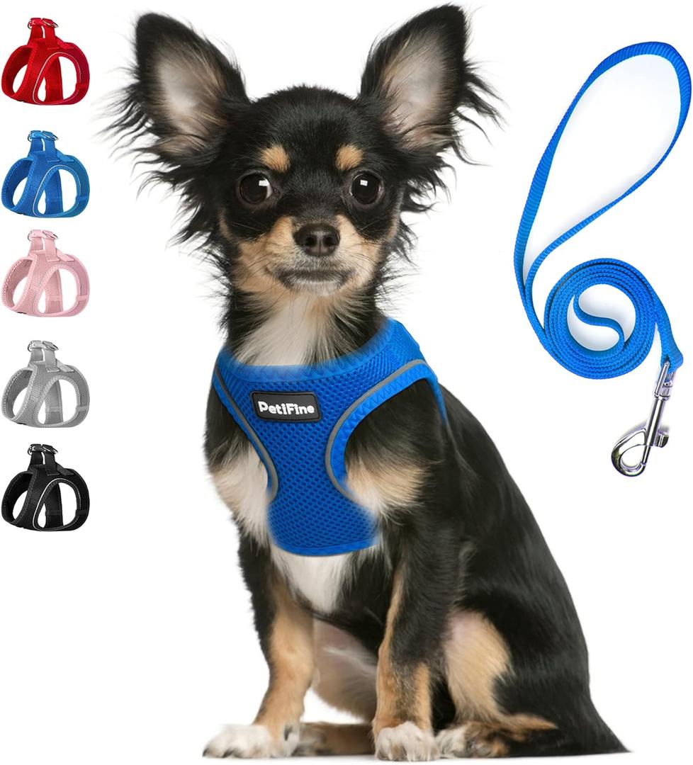 PetiFine Step in Small Dog Harness and Leash Set, Breathable All Weather Air Mesh Reflective Escape Proof, Step-in Vest Harnesses for Puppy(XS, Baby Blue) (XS | Neck: 12.2''-13'' Chest:14.2''-16.1'' |)