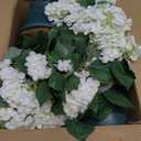 QIANYUN Faux Hydrangea Tree 30" Tall (2 Pack), Artificial Hydrangea Plant in Pot with White Flowers, Realistic Hydrangea Tree for Indoor Outdoor Porch, Patio, Home Decor