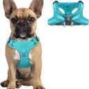 Dog Harness Step in Dog Vest Harness, Reflective Adjustable Puppy No Pull Harness Breathable Soft for Small and Medium Dogs Cats, Ocean Blue, S