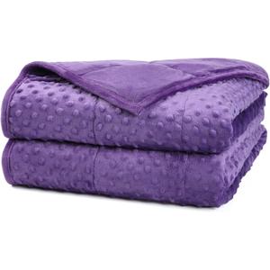Alomidds Weighted Blanket, Luxury Velvet Weighted Blankets for Kids,Warm and Breathable Soft and Comfort Minky, Cute Heavy Blanket with Premium Glass Beads (41"x60" 7LBS, Purple)