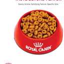 Royal Canin Feline Care Nutrition Digestive Care Adult Dry Cat Food, 3 lb Bag (EXP 04/10/27)