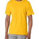 Champion Men's Classic Everyday Soft, Comfortable T-Shirt (Regular or Big & Tall) L
