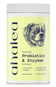 Probiotics for Dogs- Dog Probiotics for Digestive Health, Support Gut Health, Diarrhea, Digestive Health & Seasonal Allergies, 90 Count 2 Billion CFUs