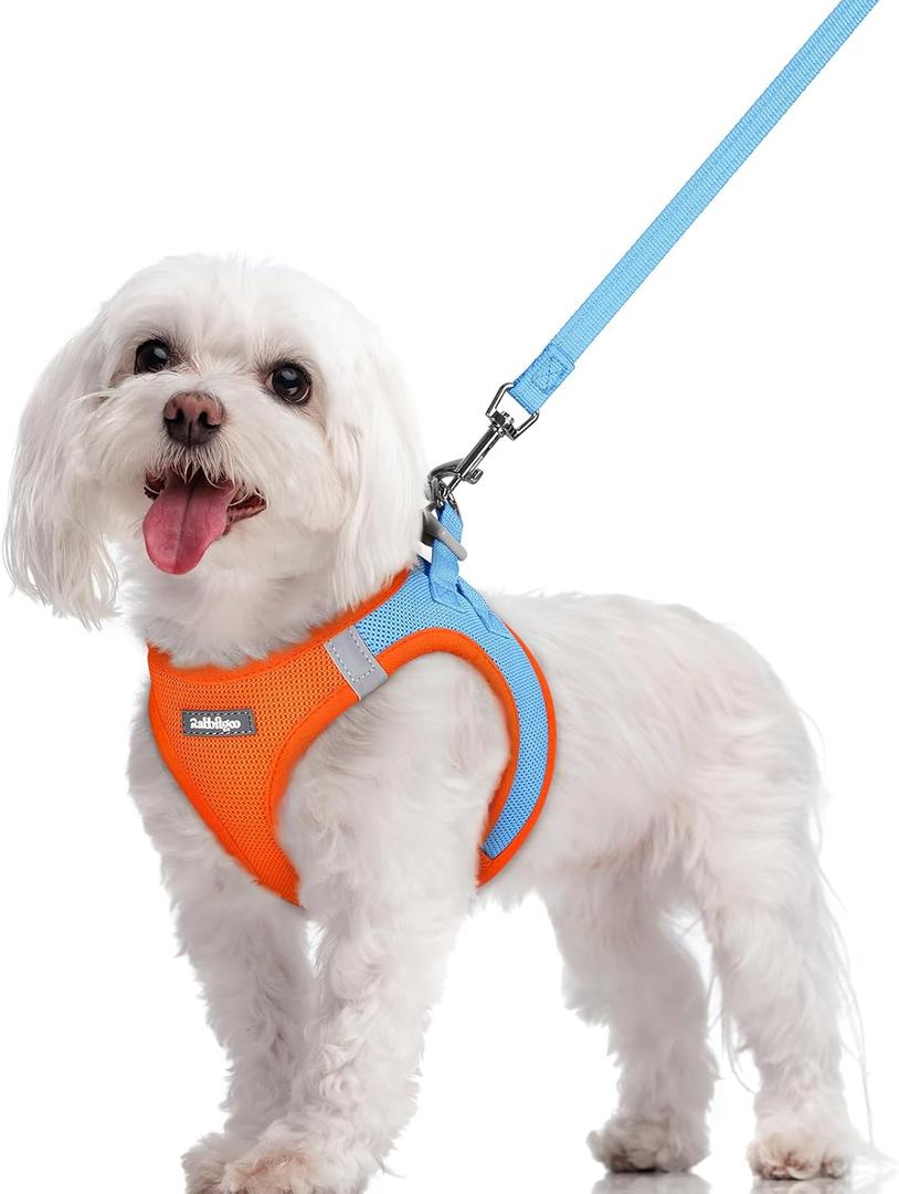 rabbitgoo Dog Harness Small Sized and Leash Set, Step in Soft Light Puppy Vest, Breathable Mesh Pet Harness, Reflective for Safe Easy Walking, Blue & Orange M (M (Chest: 16 - 18.5"))