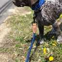 Mile High Life Rope Leash with Genuine Leather Connection, 6 FT/5 FT/4 FT, Heavy Duty Leash for Medium & Large Dogs (Blue, 48 Inch)