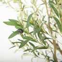 Nafresh Tall Faux Olive Tree，10ft（120in） Realistic Potted Silk Artificial Olive Tree， Fake Olive Trees Indoor with Green Leaves and Big Fruits for Home Office Living Room Stairs Patio Decor.