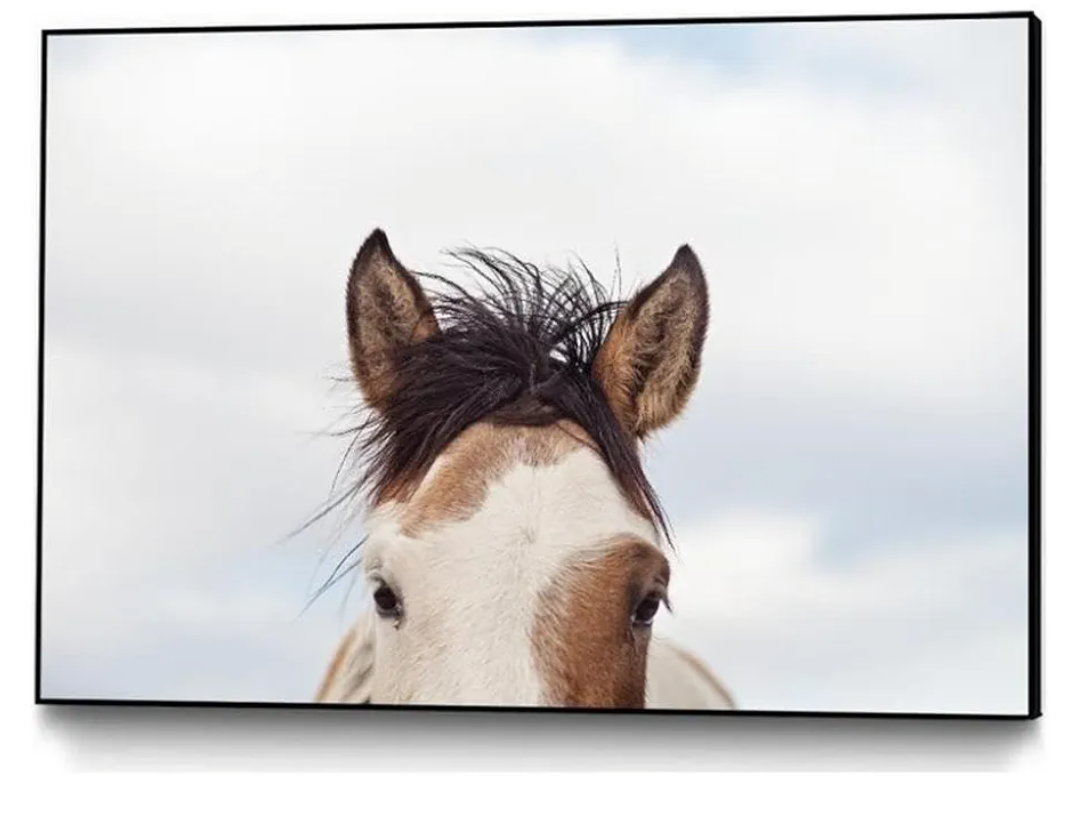 Giant Art Canvas 28"x22" Eyes, Frame not Included