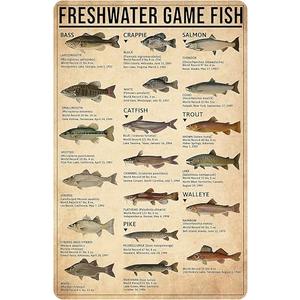 Smilelife Boy's Fishing Gifts Vintage Fresh Water Gamefish Knowledge Tin Sign for Man Cave Boys Hunting Room Bedroom Lake House Cabin Wall Art Decor 8x12 Inch (3069)