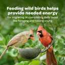 Kaytee Nyjer Wild Bird Food Seed, 5 Pound