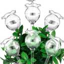 Yungyan 6 Pcs Self Watering Plant Globes Glass Cactus Insert Watering Devices Automatic Plant Watering Bulbs Water Globes for Indoor Outdoor Plants(Clear Tulip,5.31 Inch)