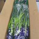 Geegoods Artificial Plants Flowers Outdoor 24 Bundles UV Resistant Faux Lavender Flowers with Monkey Grass for Garden Porch Window Patio Hanging Planter Decor