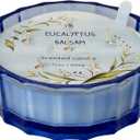 CW Studio Eucalyptus Balsam 32oz 6-Wick Scented Candle  Hand-Poured Wax in ColorSprayed Glass Jar with Dust Cover, 31h Large Candle for Home Dcor & Relaxation