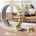 Large Cat Exercise Wheel, Quiet 48" Cat Treadmill for Indoor Cats, Running Wheel with Carpeted Runway & Stability Base, Ideal for Multiple Cats & Large Breeds for Fitness & Active Play
