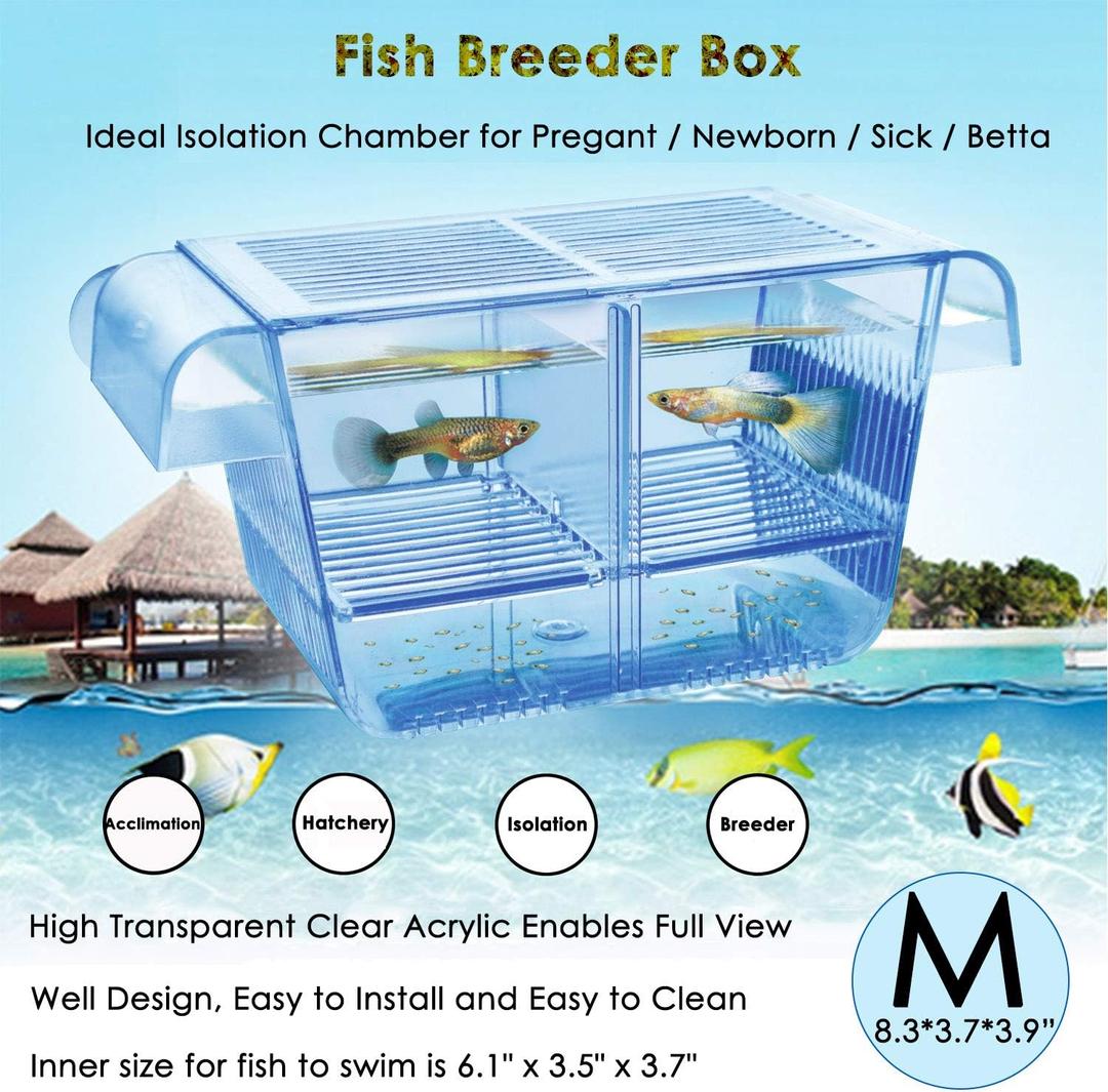Cepetsma Fish Breeder Box - Hang-on Nursery Fish Tank With Breeding Hatchery, Perf for Aggressive & Injured Species (Medium)