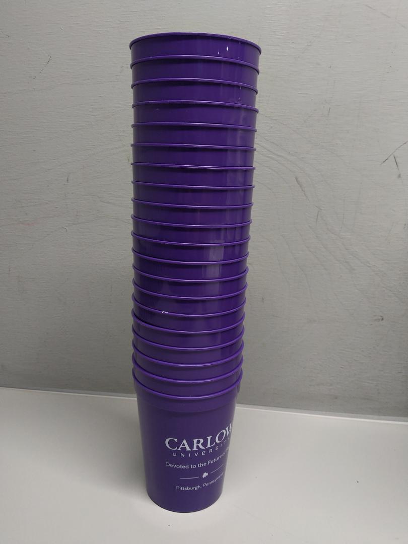 20 Pack 16 oz Blank Plastic Cups