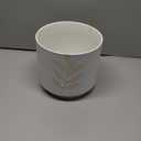 Napco Imports Indoor Outdoor Plant Succulent Herb Flower Pot 7 Inch Ceramic Leaf Cache