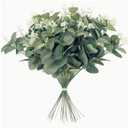 Artificial Eucalyptus Stems with Silver Dollar Leaves, Faux Greenery Branches for Floral Arrangements, Weddings, Christmas and Home Decor