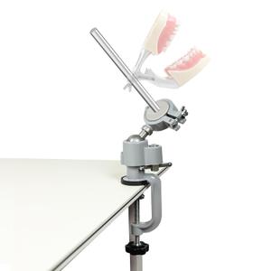 Typodont Teeth Model Training Mount, Pole Teeth Model Mount Fixed on Desk Training Manikin Dental Schools Education Practical Typodont 360° Motion