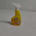 Goof Off FG910 Paint Remover Carpet Cleaner Solution, 12 oz. Spray