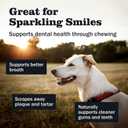 Redbarn Bully Slims Esophagus Dog Treats  4.7 oz Bag  Single Protein Made with Natural Beef Esophagus, Slow-Roasted for Maximum Flavor  No Rawhide, Highly Digestible Chew, Gluten-Free (4.7 Ounce (Pack of 1))