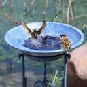 Multifunctional Solar Bird Bath for Outside, Metal Birdbath Stand and Solar Fountain Bird Bath Bubbler Combo Set, Solar Birdbaths for Outdoors Garden Lawn Yard DecorBlue