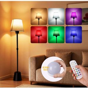 Battery Operated Floor Lamp, Cordless Floor lamp with 5200mAh Battery,RGB Floor Lamps, Timer Function Suitable for Living Room Sofa Area Bedroom RV and Balcony