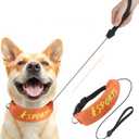 NAMSAN Retractable Dog Leash Collar for Medium to Large Dogs, Dog Collar with Retractable Leash Built-in, All-in-One, Adjustable, Orange