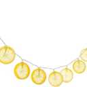 Fun Express 4 Ft. 11" Yellow Lemon Slices String Lights, Pack 4