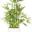 365 Blooming Decor 18 inch Tall White Potted Faux Bamboo Plant- Luxury Artificial Bamboo Tree in White Pot for Home, Office, Kitchen, Counter Top, Indoor Decor, Money Tree, Lucky Bamboo Tree. (Green/ White)
