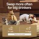 PETLIBRO Replacement Filters for Dockstream Cat Water Fountain PLWF106/PLWF116/PLWF115/PLWF105/PLWF005, 4 Months Set of Replacement Filters for Ultra Quiet Cat Fountain, 8 Count for Pet Water Fountain (White)