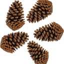 PineCones Tall Bulk Package All Natural,Real Preserved Pine Cones Big Pinecones and Perfect Natural Pine Cones for Christmas Hanging Ornaments Bowl Vase Fillers (3-4.3 in(12pcs))
