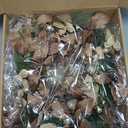 BINFEN 24" Winter Wreaths for Front Door, Gold-Brown Leaves Balls Pears Magnolia Flowers Christmas Wreath, Door Reef for Windows Fireplaces Walls, Front Porch Indoor and Outdoor Decor